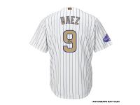 Men Autographed Chicago Cubs Javier Baez Majestic White World Series Champions Gold Program Jersey