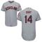 Grey Larry Doby Men #14 Majestic MLB Cleveland Indians Flexbase Collection Jersey