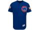 Anthony Rizzo Chicago Cubs Majestic 2016 Flexbase Authentic Collection On-Field Spring Training Player Jersey - Royal