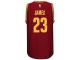 LeBron James Cleveland Cavaliers adidas Replica Road Jersey - Garnet