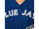 Toronto Blue Jays Majestic Women's 2015 Cool Base Jersey - Royal Blue