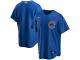 Youth Chicago Cubs Nike Royal Alternate 2020 Team Jersey